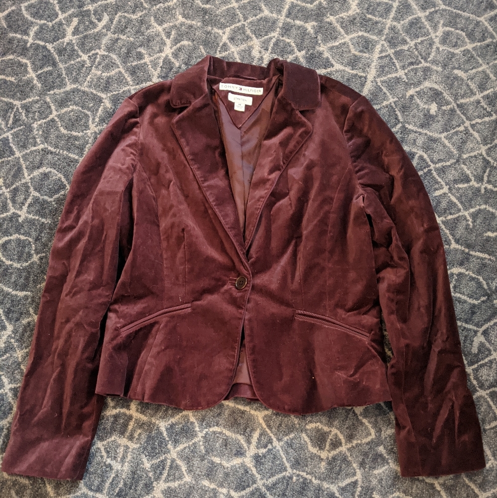 Crushed Velvet Blazer - Wine color